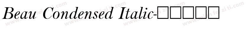 Beau Condensed Italic字体转换